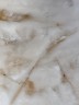 Керамогранит Pekan Cream 7736 60х60 бежевый мрамор глянцевый