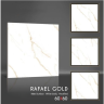 Керамогранит Rafael Gold 1134 60х60 матовый белый