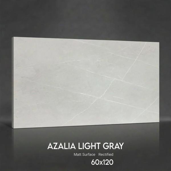 Керамогранит Azalia Light Gray MT 60х120 матовый