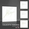 Керамогранит Calacatta Toronto MT 60х60 матовый